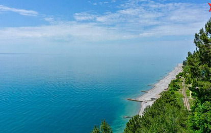 Пицунда. Раннее бронирование -5% скидка Пицунда. Раннее бронирование -5% скидка