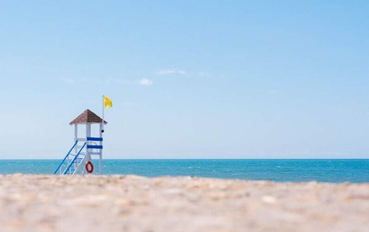 "Страна Магнолий" Международный арт-пленэр "Страна Магнолий" Международный арт-пленэр