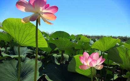 "СОЛНЕЧНЫЕ РИТМЫ. АНАПА" Международный конкурс-фестиваль музыкально-художественного творчества "СОЛНЕЧНЫЕ РИТМЫ. АНАПА" Международный конкурс-фестиваль музыкально-художественного творчества